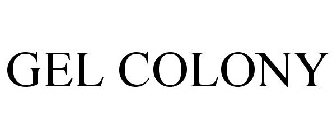 GEL COLONY