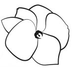 Image Trademark