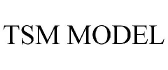 TSM MODEL