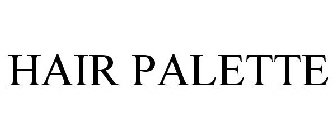HAIR PALETTE