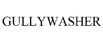 GULLYWASHER
