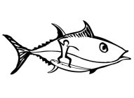 Image Trademark