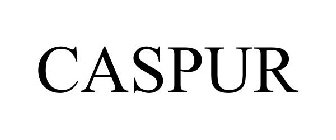 CASPUR