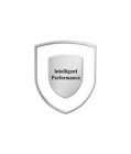 INTELLIGENT PERFORMANCE