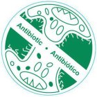 ANTIBIOTIC ANTIBIÓTICO