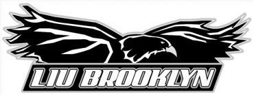 LIU BROOKLYN