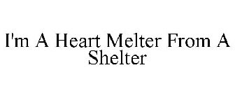 I'M A HEART MELTER FROM A SHELTER