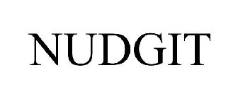 NUDGIT