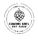 CLIMBING BINES HOP FARM SENECA LAKE NEWYORK