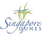 SINGAPORE DUNES