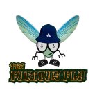 THE FURIOUS FLY