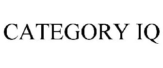 CATEGORY IQ