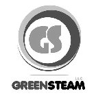 GS GREENSTEAM LLC