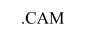 .CAM