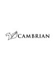 CAMBRIAN