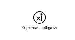 EXPERIENCE INTELLIGENCE XI