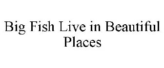 BIG FISH LIVE IN BEAUTIFUL PLACES