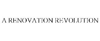 A RENOVATION REVOLUTION