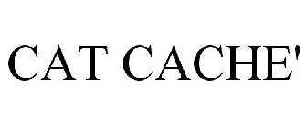 CAT CACHE'