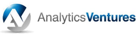 AV ANALYTICS VENTURES