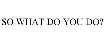 SO WHAT DO YOU DO?