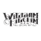 WILLIAM PILGRIM & THE ALL GROWS UP