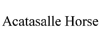 ACATASALLE HORSE
