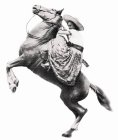 Image Trademark