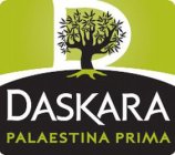 D DASKARA PALAESTINA PRIMA