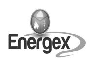 ENERGEX