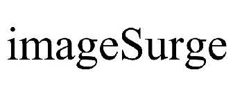 IMAGESURGE