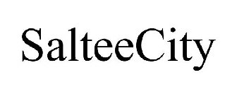 SALTEECITY