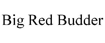 BIG RED BUDDER