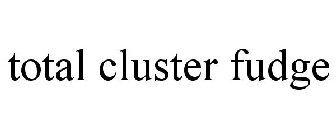 TOTAL CLUSTER FUDGE