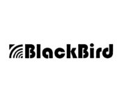 BLACKBIRD