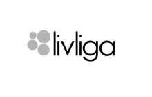 LIVLIGA