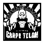 SEIZE THE WEB CARPE TELAM