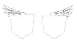 Image Trademark