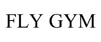 FLY GYM