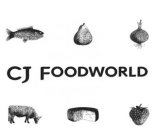 CJ FOODWORLD