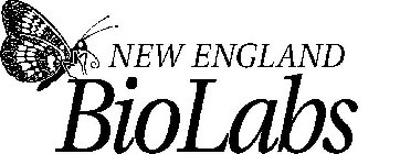 NEW ENGLAND BIOLABS