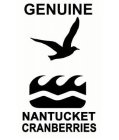 GENUINE NANTUCKET CRANBERRIES