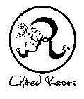 R LIFTED ROOTS