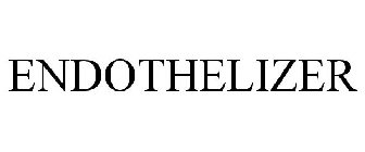 ENDOTHELIZER