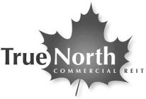 TRUE NORTH COMMERCIAL REIT