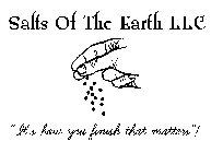 SALTS OF THE EARTH LLC 