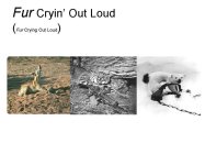 FUR CRYIN' OUT LOUD