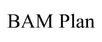BAM PLAN