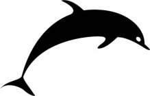Image Trademark