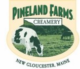 PINELAND FARMS CREAMERY NEW GLOUCESTER,MAINE